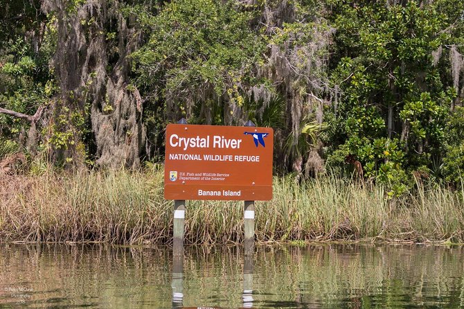 Manatee Snorkeling Crystal River Florida Semi-Private - Meeting and Logistics