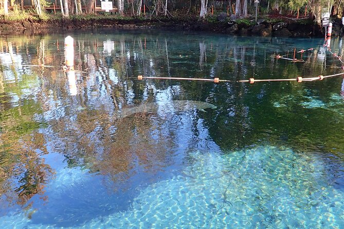 Manatee Viewing Cruise - Booking and Confirmation Process