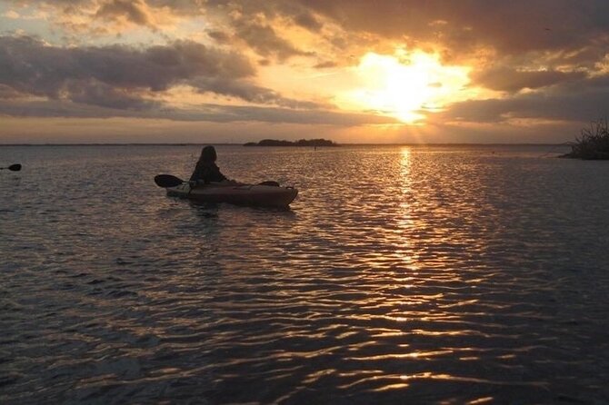 Manatees/Sunset/Bioluminescence Tour - What to Bring