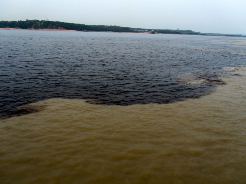 Manaus: Meeting of the Waters & Pink Dolphin Tour With Lunch - Experience Highlights