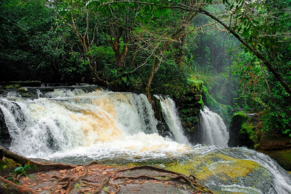 Manaus: Presidente Figueiredo Caves and Waterfalls Tour - Experience Highlights
