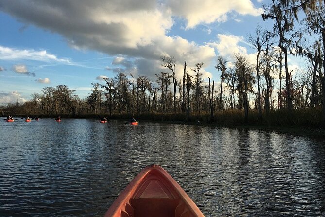 Manchac Swamp Kayak Small-Group Tour - Inclusions and Services