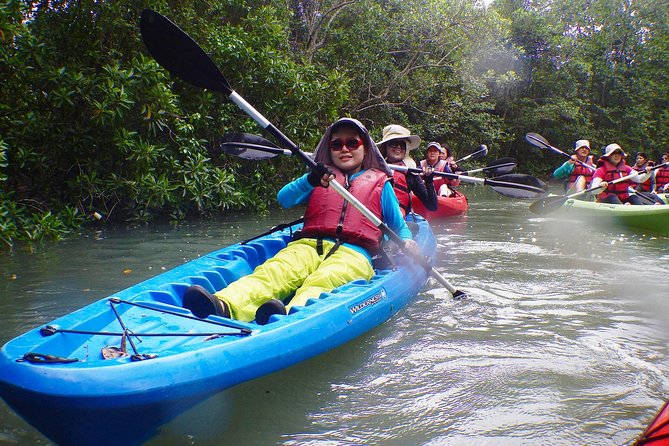 Mangrove Kayaking Adventure in Singapore - Equipment and Logistics