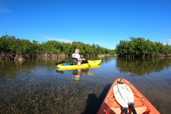 Mangrove Tunnel Kayak Adventure in Key Largo - Inclusions and Logistics Details