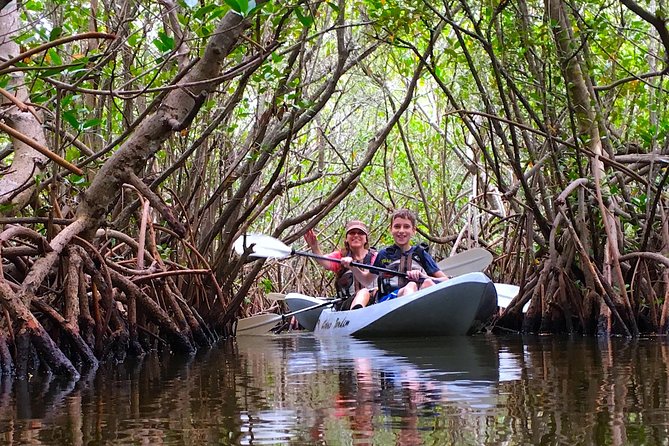 Mangrove Tunnels, Manatee, and Dolphin Sunset Kayak Tour With Fin Expeditions - Meeting Points and Logistics