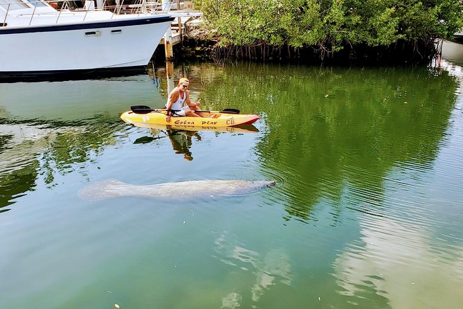 Mangroves and Manatees - Guided Kayak Eco Tour - Meeting and Pickup Information