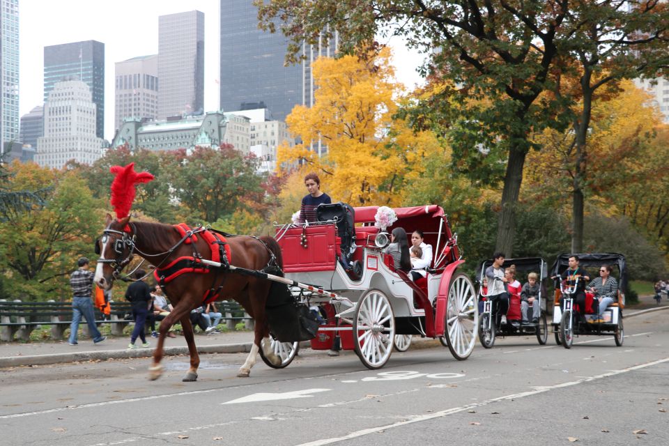 Manhattan: VIP Private Horse Carriage Ride in Central Park - Experience Highlights in Central Park