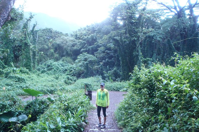 Manoa Waterfalls Hike With Local Guide - End Point & Cancellation Policy