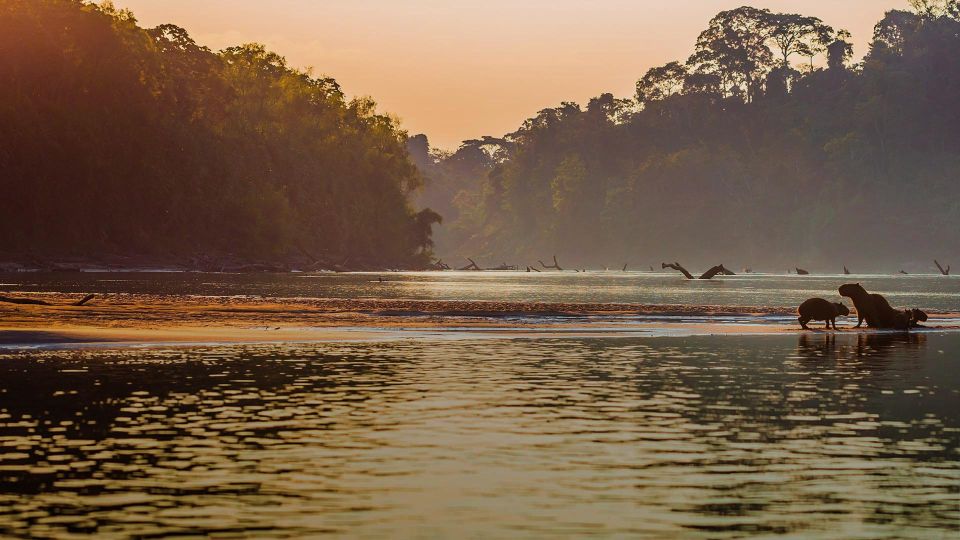 Manu Jungle Tour 3 Days - Itinerary and Inclusions for 3-Day Tour