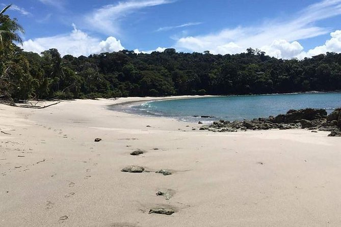 Manuel Antonio National Park Guided Tour - Whats Included