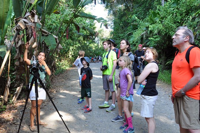 Manuel Antonio National Park Hiking Tour - Traveler Experience