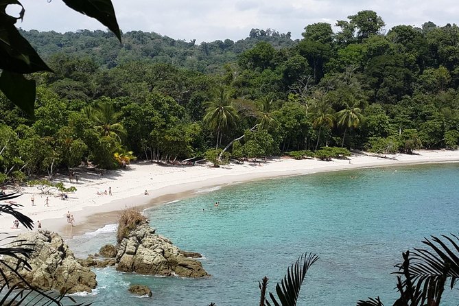 Manuel Antonio National Park Sightseeing and Wildlife Day Tour From San Jose - Pickup and Drop-off Details