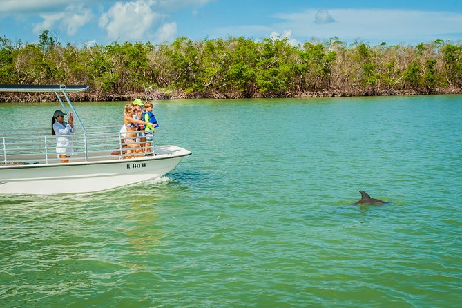 Marco Island Dolphin Sightseeing Tour - Customer Reviews