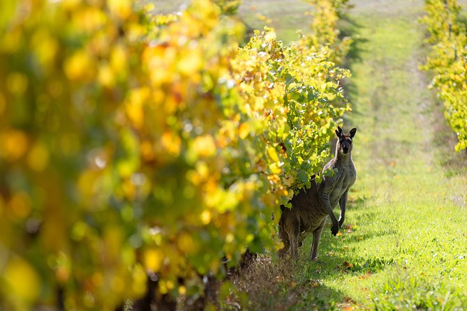 Margaret River 3 Day Escape - Dining Experiences
