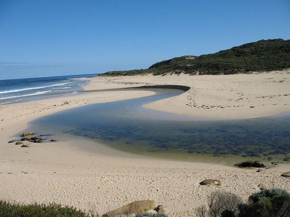 Margaret River Wine Adventure - the Tour for People Who Dont Do Tours! - Unique Features