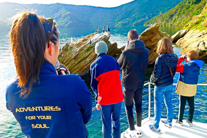 Marlborough Sounds Ultimate Cruise - Traveler Feedback