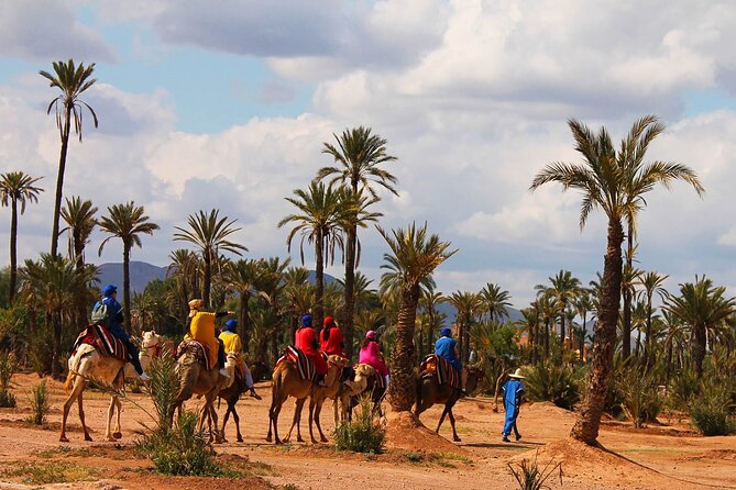 Marrakech Camel Ride in Palmeraie - Palmeraie Location Details