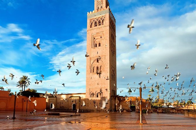 Marrakech Full Day Guided City Tour - Private Tour - Tour Experience