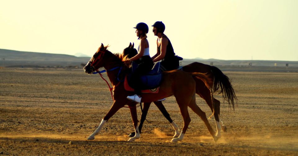 Marsa Alam: Sea and Desert Horse Riding Tour - Booking Details