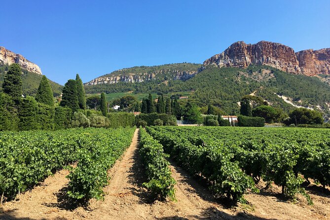 Marseille Shore Excursion - Full Day Wine Tour in Provence - Wine Tasting Experience