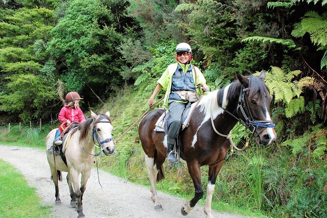 Matakana Art & Horse Riding Experience Private Tour From Auckland - Participant Requirements