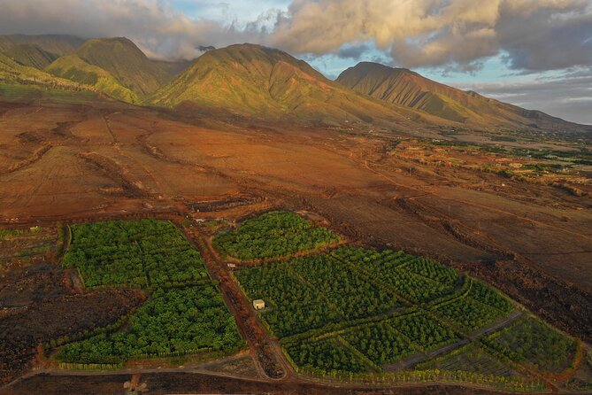 Maui Chocolate-Tasting Experience (Mar ) - Booking Details