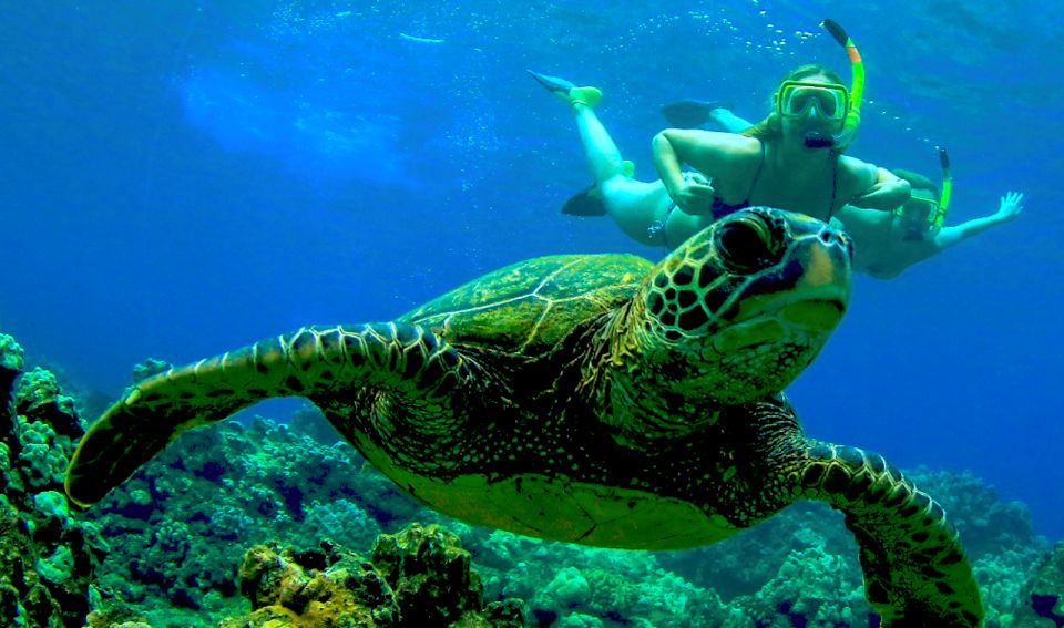 Maui: Cruise With Snorkeling and Barbecue Lunch - Experience Highlights