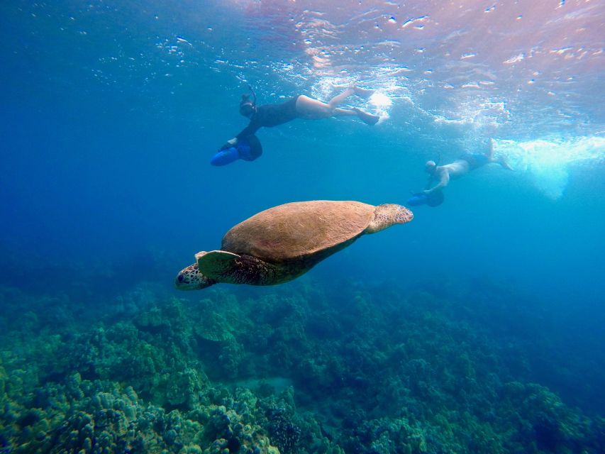 Maui: Guided Sea Scooter Snorkeling Tour - Tour Highlights