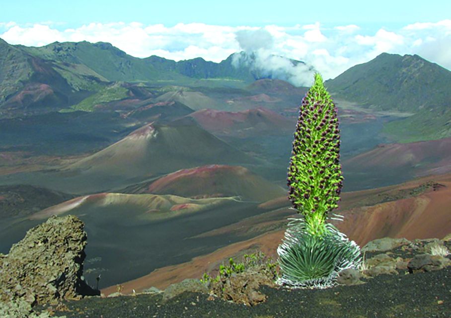 Maui: Haleakalā National Park Sunset Tour - Pickup and Accessibility Information