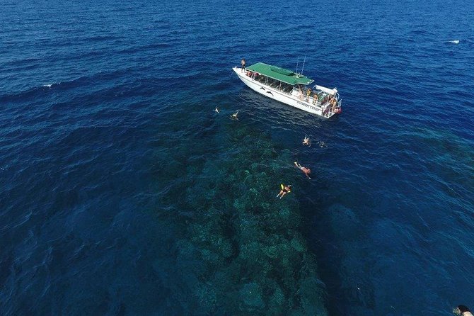 Maui Half-Day Snorkel & Dolphin Tour (Whale-Watching Seasonal) - Participant Requirements