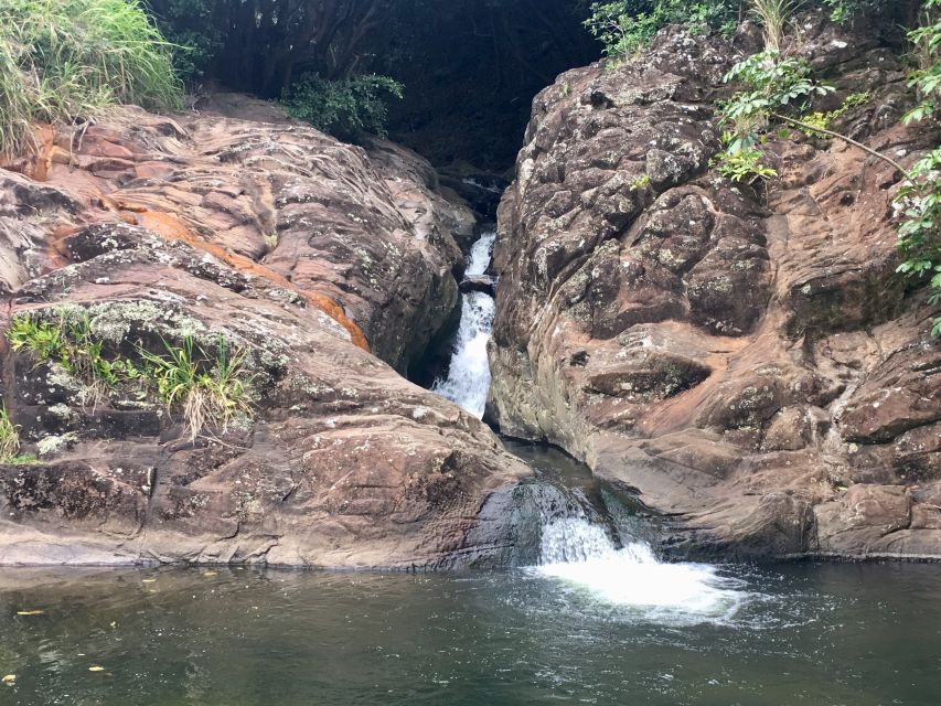 Maui: Private Jungle and Waterfalls Hiking Adventure - Activity Duration and Live Guide