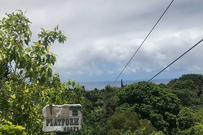 Maui Zipline Eco Tour - 8 Lines Through the Jungle - Tropical Landscape Experience