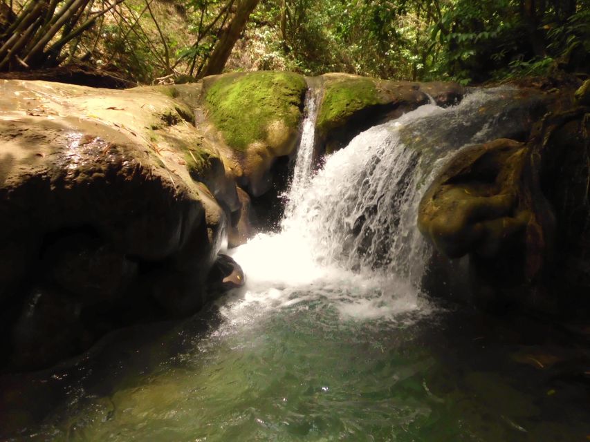 Mayfield Falls River Walk With Private Transportation - Tour Features and Inclusions