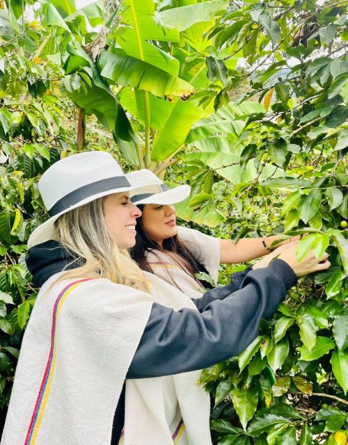 Medellín Coffee Farm Tour With Trolley and Cable Car Ride - Urban Coffee Tour Details