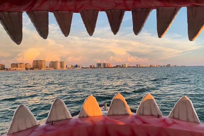 Mega Bite Dolphin Tour Boat in Clearwater Beach - Additional Information