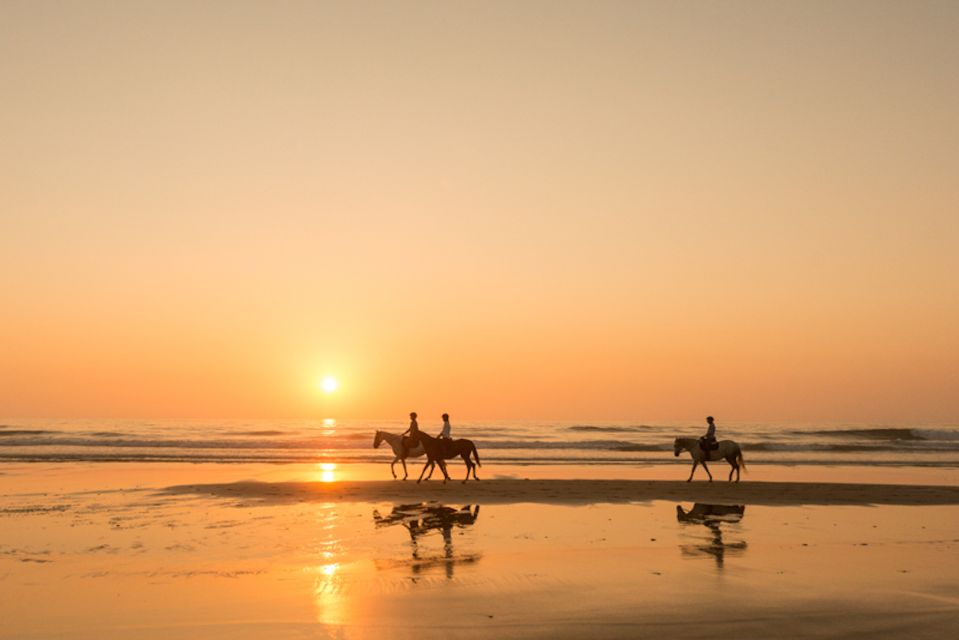 Melides: Horse Riding on the Beach With Wine Tasting - Experience Highlights