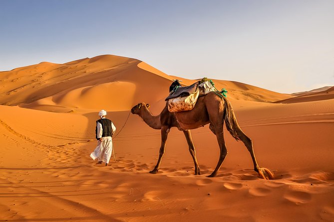 Merzouga Camel Trekking & Overnight Desert Camp - Experience Highlights