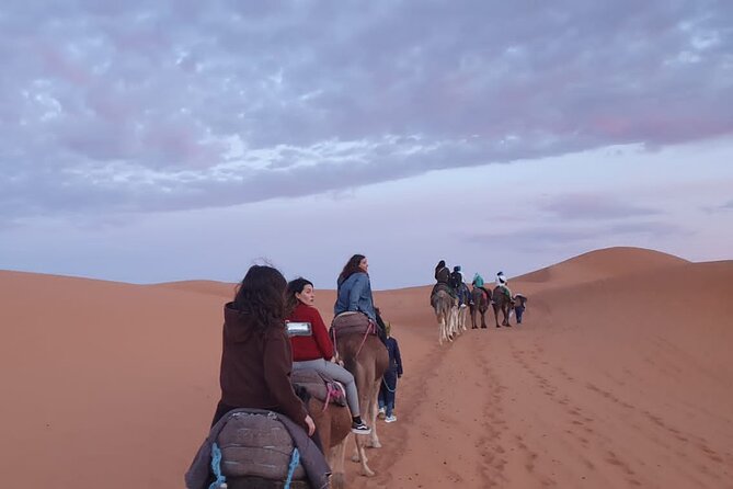 Merzouga Desert Campsite &Camel Excursions - Traveler Engagement and Reviews