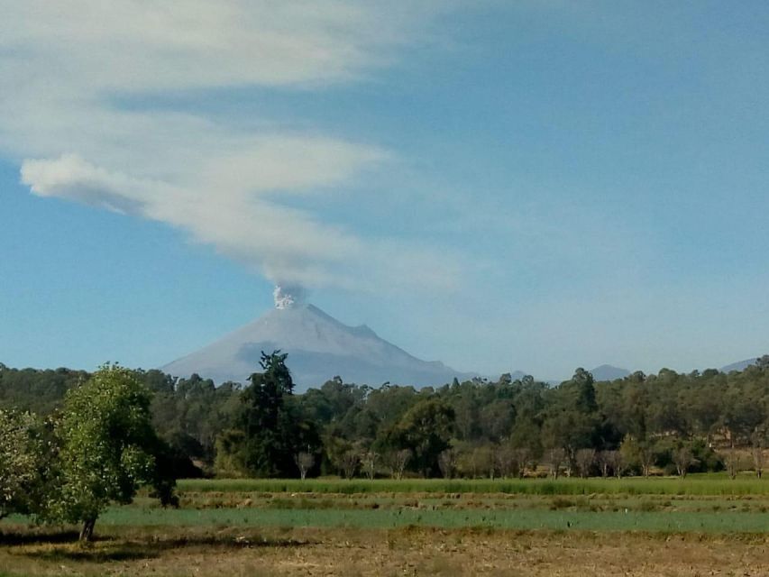 Mexico City: Private Tour of Puebla and Cholula - Experience Highlights