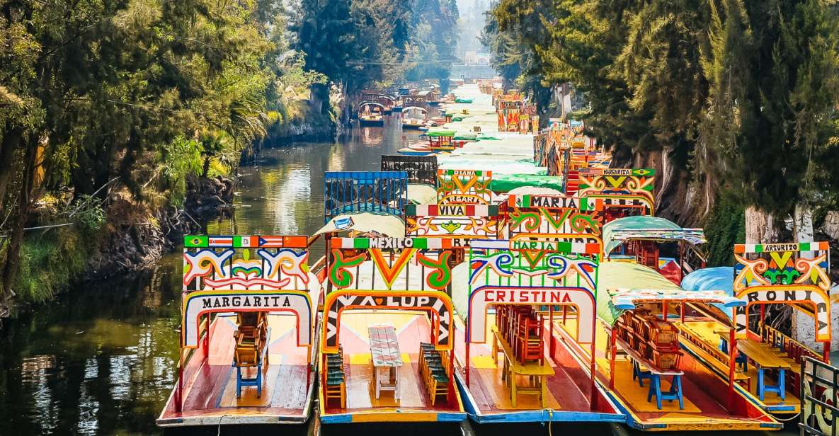Mexico City: Xochimilco, Casa Azul, Coyoacán & UNAM Tour - Highlights of the Experience
