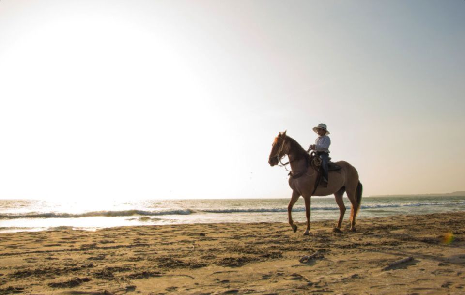 Miami: Beach Horse Ride & Nature Trail - Experience