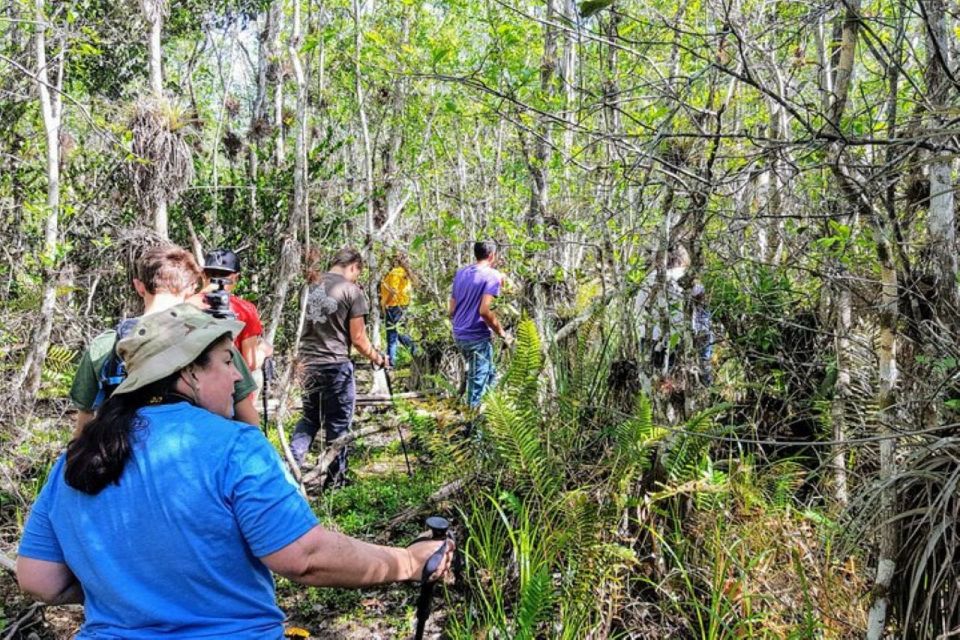 Miami: Everglades National Park Hiking and Kayaking Day Trip - Experience Highlights