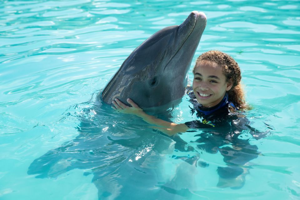 Miami: Swim With Dolphins Experience With Seaquarium Entry - Experience Highlights