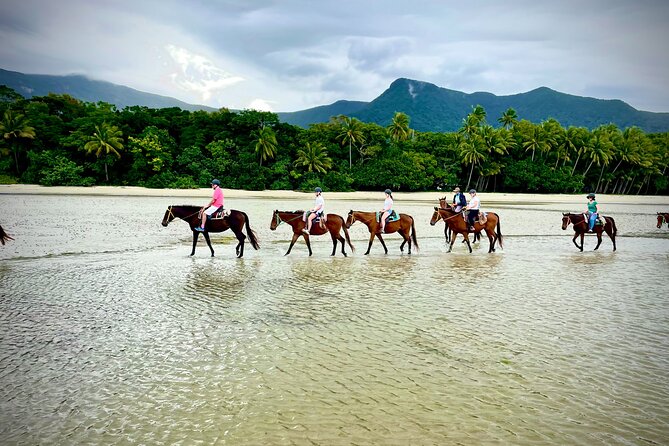 Mid-Morning Beach Horse Ride in Cape Tribulation - Pickup Service