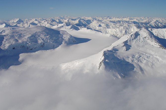 Milford Sound Glacier Flight & Cruise From Wanaka - Traveler Ratings
