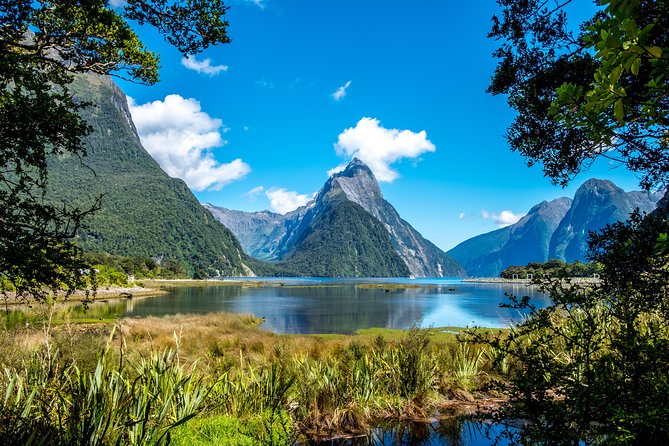 Milford Sound Private Tour With Lunch and Boat Cruise - Cancellation Policy