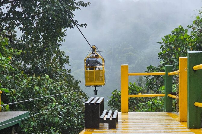 Mindo Cloud Forest - Tour Highlights and Itinerary