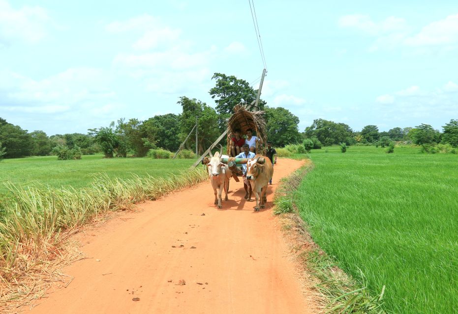 Minneriya National Park and Hiriwadunna Village Tour - Experience Details