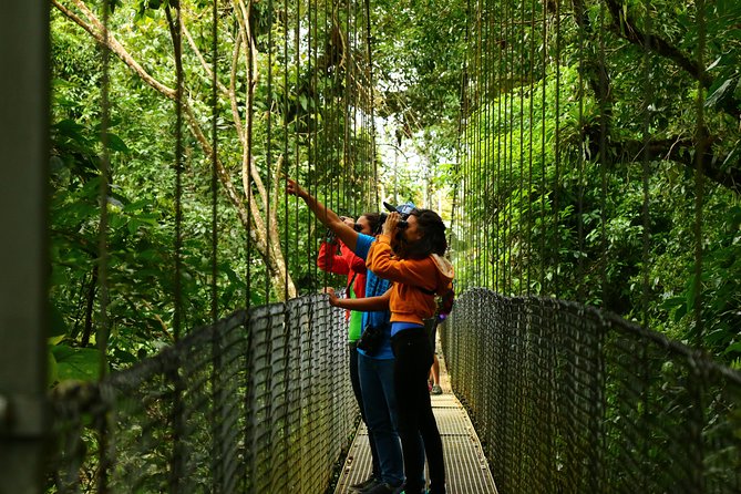 Mistico Hanging Bridges Park From La Fortuna - Operational Details