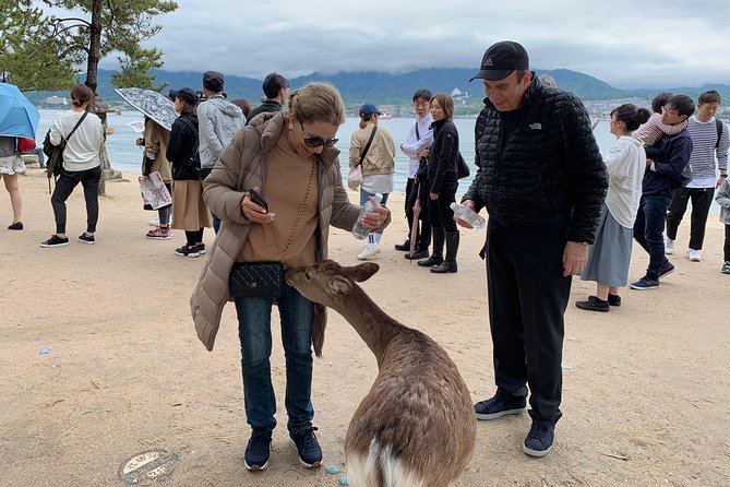 Miyajima Half-Day Private Tour With Government Licensed Guide - Price and Booking Information